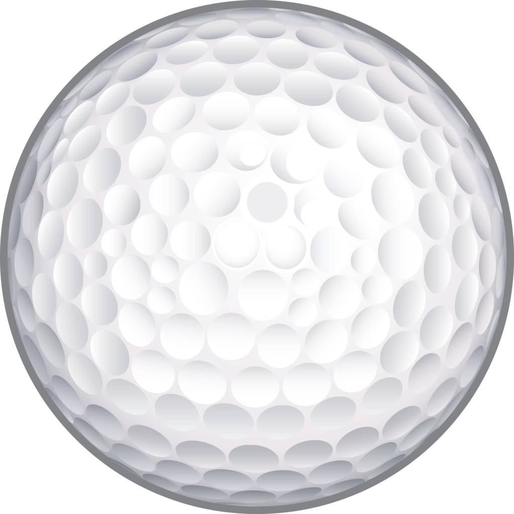 Junior League Coaching Fee Precision Instruction Online Store