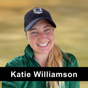 Katie Williamson - Teaching Professional
